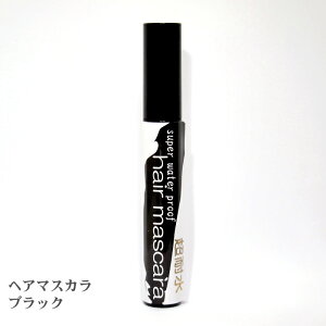 wA}XJ  ubN J[}XJ  }XJ |CgbVȒP 1  ߂ 1day Y fB[X ycƎԓőz EϐϖՐ 