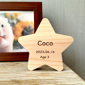 YFЂ̂gp@Memorial Wood Ԑ@ؐybgʔv  L  nX^[ tFbg nlY~ ``  I[_[Ch O  i` _ CeA R