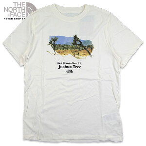 ノースフェイス レディース tシャツ 半袖 THE NORTH FACE Places We Love Tee 2024春夏 セール NF0A86VCR