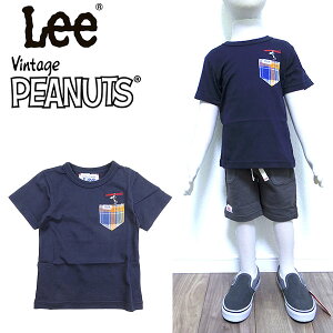 LbY tVc  |Pbg [×XgvX^v×s[ibc Xk[s[ 9234203