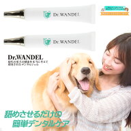 【公式】【楽天スーパーSALE¥800OFFクーポン★4/10 23:59まで】 Dr.wandel ドクターワンデル 30g ×2本 …