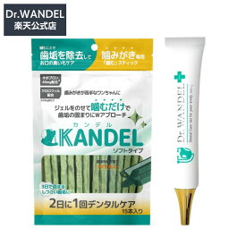 Dr.WANDEL plus + KANDELセット