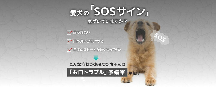楽天市場】【公式】【マラソン800円OFFクーポン☆4/17 9:59まで】 Dr 