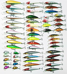 A[Zbg 56 ދZbg   C  k S ނ V[oX ubNoX gEg A[ (P[Xt)