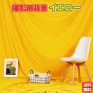 wiz 3m×2m CG[ Vtɂ Bep Bez obNXN[ wi obNOEh ʐ^ Be (3m×2m, F(CG[))