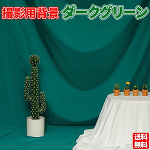 wiz 3m×2m _[NO[ Vtɂ Bep Bez obNXN[ obN ʐ^ Be (3m×2m, [(_[NO[))