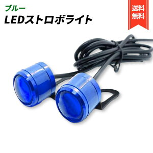 Xg{Cg LED 12V 2A tbV oCN  RpNg fCCg _ X|bg  JX^ ėp (u[)