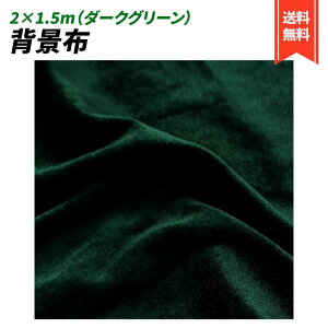 wiz 2×1.5 xA n n B Bep  ʐ^ pr Vtɂ obN XN[ X^WI z  (_[NO[)