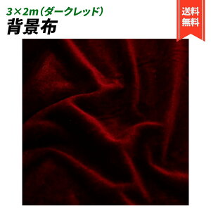 wiz 3×2 xA n n B Bep  ʐ^ pr Vtɂ obN XN[ X^WI z  (_[Nbh)