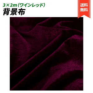 wiz 3×2 xA n n B Bep  ʐ^ pr Vtɂ obN XN[ X^WI z  (Cbh)