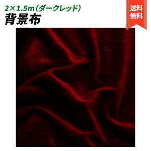 wiz 2×1.5 xA n n B Bep  ʐ^ pr Vtɂ obN XN[ X^WI z  (_[Nbh)