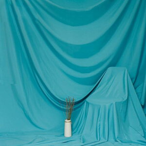 wiz 2m×1.5m Vtɂ Be p obN XN[ V[g ʐ^ X^WI |GXe z n  eF pr (u[gp[Y)