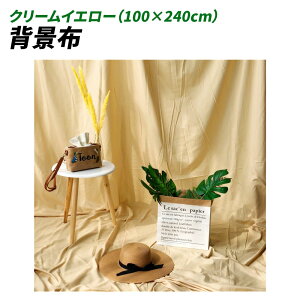 wiz 100cm*240cm n n B Bep  ʐ^ pr Vtɂ obN XN[ X^WI z NX (N[CG[)