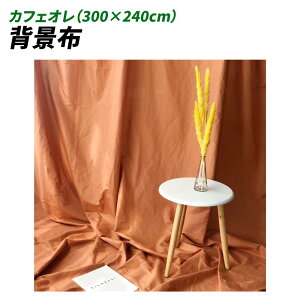 wiz 300cm*240cm n n B Bep  ʐ^ pr Vtɂ obN XN[ X^WI z NX (JtFI)