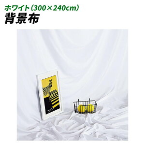 wiz 300cm*240cm n n B Bep  ʐ^ pr Vtɂ obN XN[ X^WI z NX (zCg)