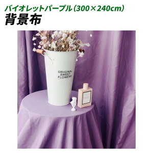 wiz 300cm*240cm n n B Bep  ʐ^ pr Vtɂ obN XN[ X^WI z NX (oCIbgp[v)