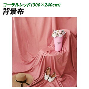 wiz 300cm*240cm n n B Bep  ʐ^ pr Vtɂ obN XN[ X^WI z NX (R[bh)