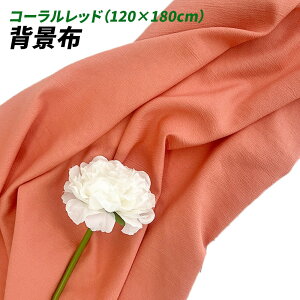 wiz l 120cm*180cm n n B Bep  ʐ^ pr Vtɂ obN XN[ X^WI z NX (R[bh)