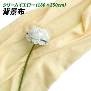wiz l 180cm*250cm n n B Bep  ʐ^ pr Vtɂ obN XN[ X^WI z NX (N[CG[)