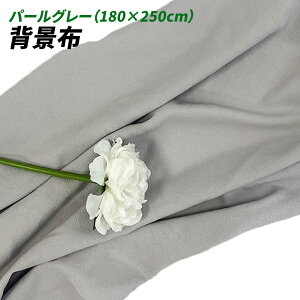 wiz l 180cm*250cm n n B Bep  ʐ^ pr Vtɂ obN XN[ X^WI z NX (p[O[)