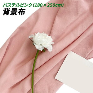 wiz l 180cm*250cm n n B Bep  ʐ^ pr Vtɂ obN XN[ X^WI z NX (pXesN)