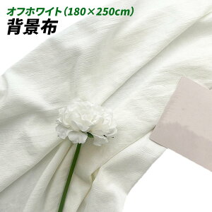 wiz l 180cm*250cm n n B Bep  ʐ^ pr Vtɂ obN XN[ X^WI z NX (ItzCg)