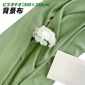 wiz l 300cm*250cm n n B Bep  ʐ^ pr Vtɂ obN XN[ X^WI z NX (sX^`I)