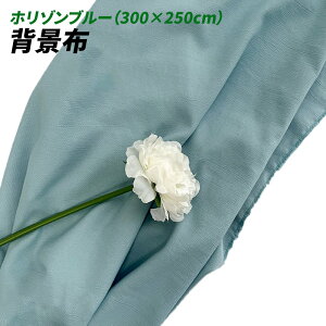 wiz l 300cm*250cm n n B Bep  ʐ^ pr Vtɂ obN XN[ X^WI z NX (z]u[)