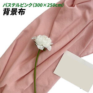 wiz l 300cm*250cm n n B Bep  ʐ^ pr Vtɂ obN XN[ X^WI z NX (pXesN)