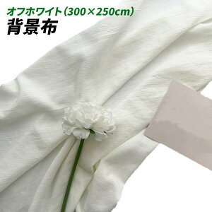 wiz l 300cm*250cm n n B Bep  ʐ^ pr Vtɂ obN XN[ X^WI z NX (ItzCg)