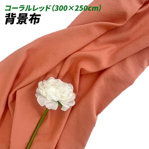 wiz l 300cm*250cm n n B Bep  ʐ^ pr Vtɂ obN XN[ X^WI z NX (R[bh)