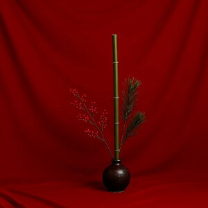 wiz 3m×5m ^ Bep obNXN[ X^WI ʐ^Be z n  pr \ ܂  (bh)