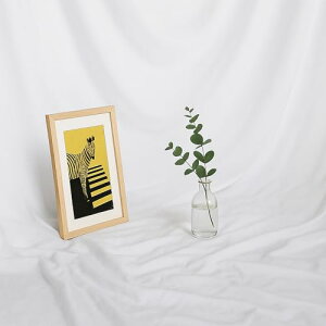 wiz 2m×1.5m n Bep ^ obNXN[ ʐ^Be z X^WI pr  \ ܂ (zCg)