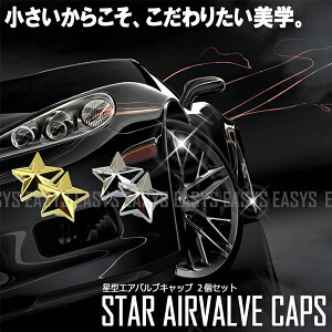 y[֑Ή\z X^[ GAouLbv ^ 2Zbg ^C C STAR JX^  oCN t ] ėp