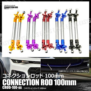 y[֑Ή\z RlNVbh 100mm 2{Zbg GA op[ GTECO fBt[U[ Œ O