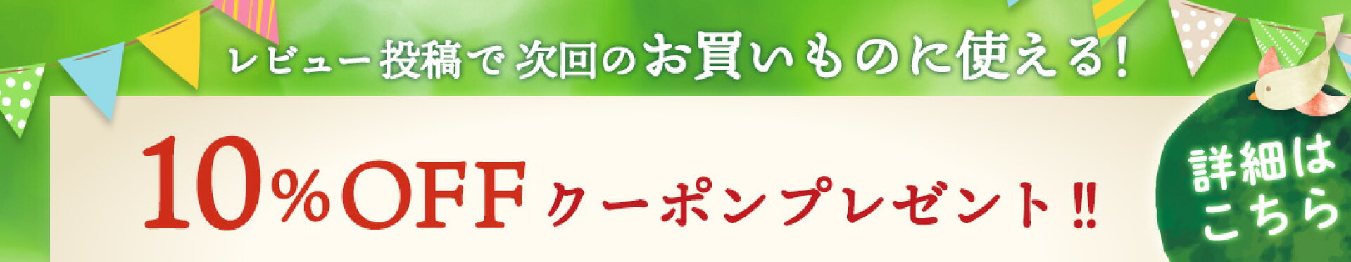レビュー投稿で10%OFFクーポンプレゼント！