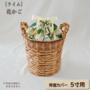 كJo[ Jo[   5 l ybg 킢   LeBO Ԃ^ 0344C50