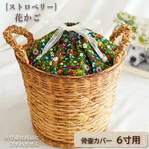 كJo[ Jo[   6 l ybg 킢   LeBO Ԃ^ 0344C60