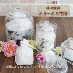  [  2.3 2.5 l Ԃ ybg 킢    ȃ^Cv