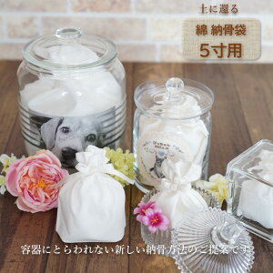  [  5 l Ԃ ybg 킢    ȃ^Cv