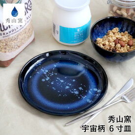 小石原焼 小石原焼き 藍釉 6寸皿 フラット皿 ワンプレート 宇宙柄 パスタ皿 秀山窯 陶器 器 NHK イッピンで紹介されました