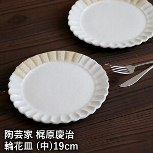 c ։ԎM M 19cm M  zCg v[g fU[gM P[LM |i l|   H 