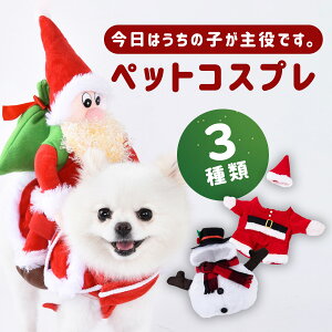 RX`[ ybg ~   L ybg hbOEFA ^ T^ RXv 킢  Xq P[v ybgp  L gCv[h ` Mtg v[g