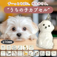 ＼19日20時~24時限定！P10倍！／ 犬 猫 毛 キーホルダー 犬の毛 猫の毛 カプセル 毛を入れるキーホルダー…