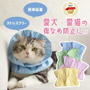 【獣医師監修】 エリザベスカラー 猫 ソフト ネコ フリル 柔らかい 簡単装着 猫用 犬 犬用 かわいい サイズ調整 フリ…
