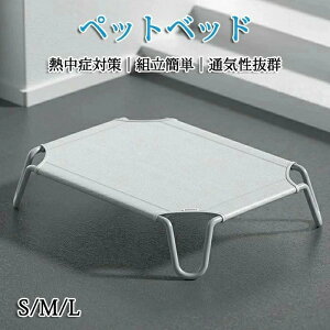 ybgxbh rt p Rbg ʋCQ Ȃ ʂǂ ybgpi Lvxbh  xbh nbN RpNg[ |[^u ^ xbh Lv ې􂢉\ 