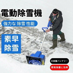 y2025~zd@ ƒp [d @ f y R[hX[d@ 4.0Aheʃobe[2 @ SXCb` p @ ƒp Ⴉ ܂܂ȘH ܂肽