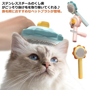 yzvbV O[~OuV ybguV L ybg Ԍ^ Lp uV ubVO XbJ[uV p Ck 