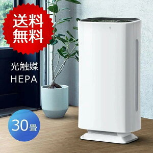 ySSP5UPIz7dC G} C@ ECX΍ ԕ΍ PM2.5΍ HEPA H13tB^[ 30Kp }CiXCIC d EL Cz C@ ^