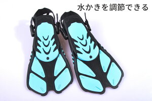 ySSP5UPIzyʃf ttbg tB Ђ j Vm[P Vm[PO XL[o _CrO SҌ XgbvtB Snǂ i͔Q Y f